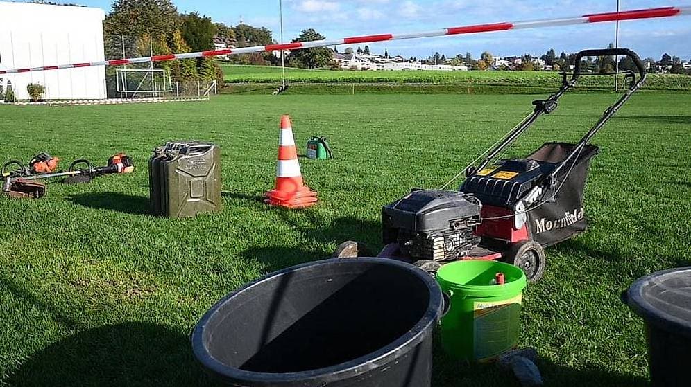 Gartenarbeiten und Hauswartung