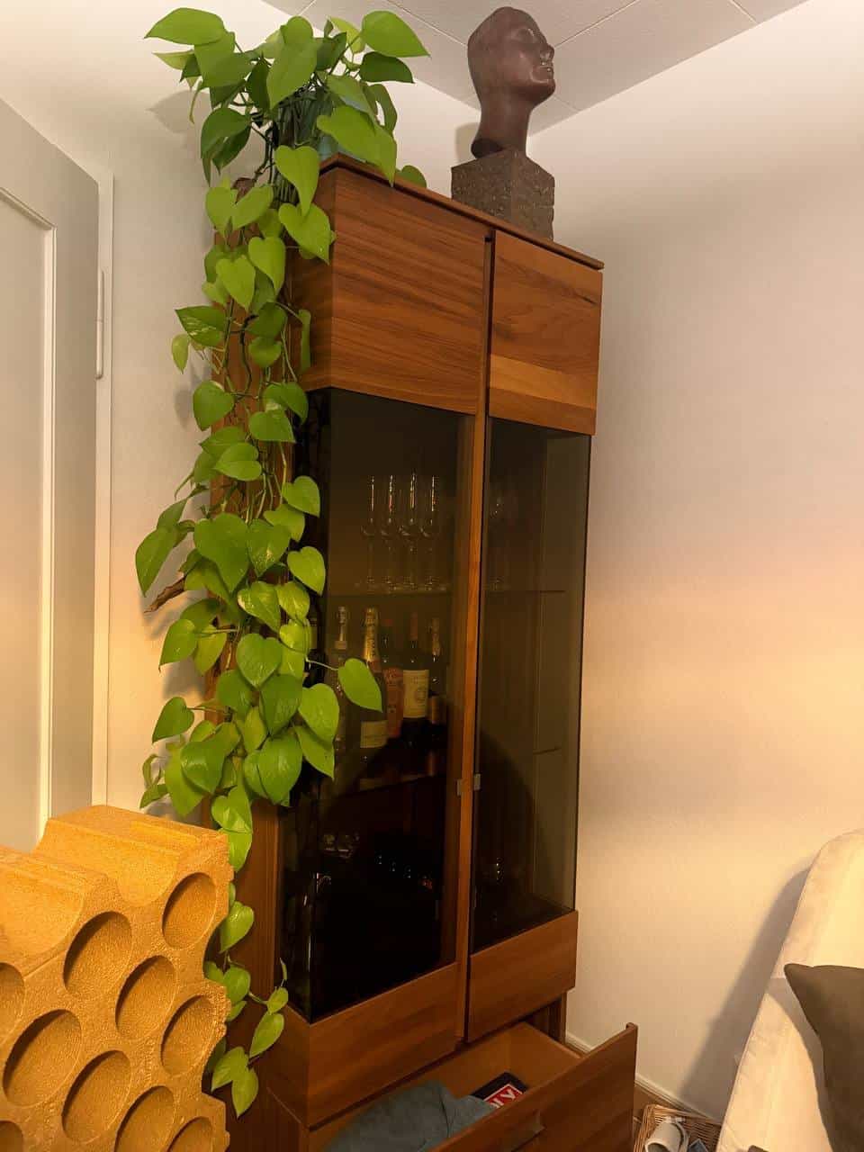 Vitrinenschrank in Nussbaum-Optik