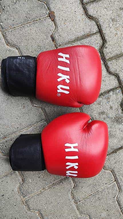 Boxhandschuhe Erwachsene 12oz