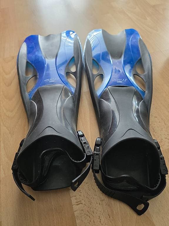 Flossen zu verschenken