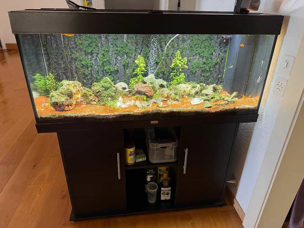 Juwel Acquarium 240 litres