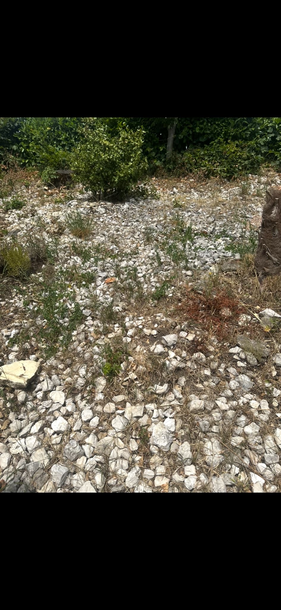 Gravel and stone rubble, white-grey