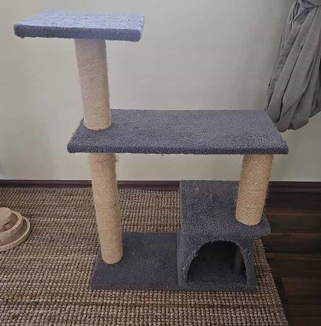 Katzenbaum für junge Katzen