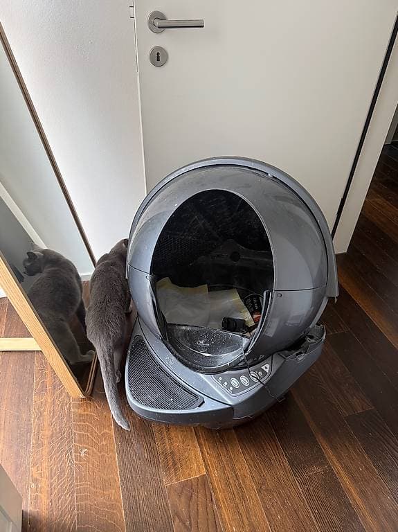 Litter Robot 3 for free to pick up in Zurich