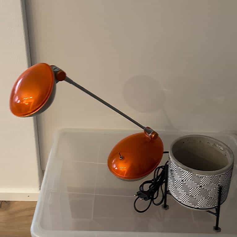 Gratis Schreibtischlampe und Übertopf