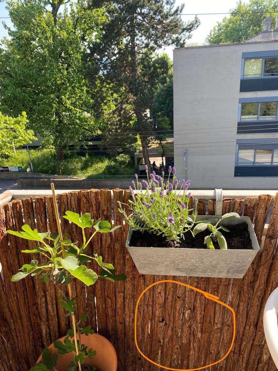 Rinden-Sichtschutz für Balkon