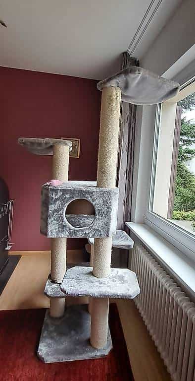 Katzenbaum Swisspet Annabelle