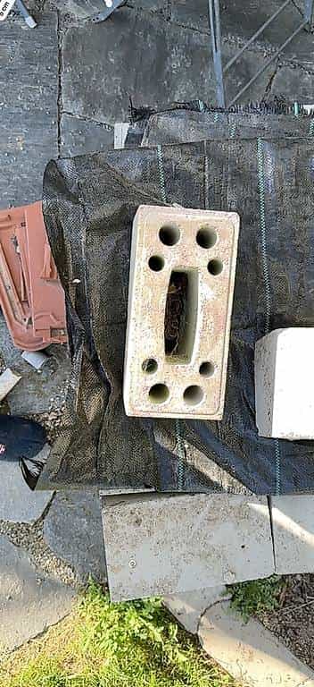 Kalksandsteine gratis 25x12x14cm
