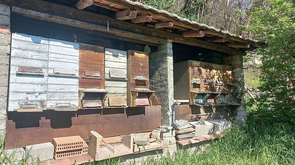 Regaliamo arnie, telai e smielatore