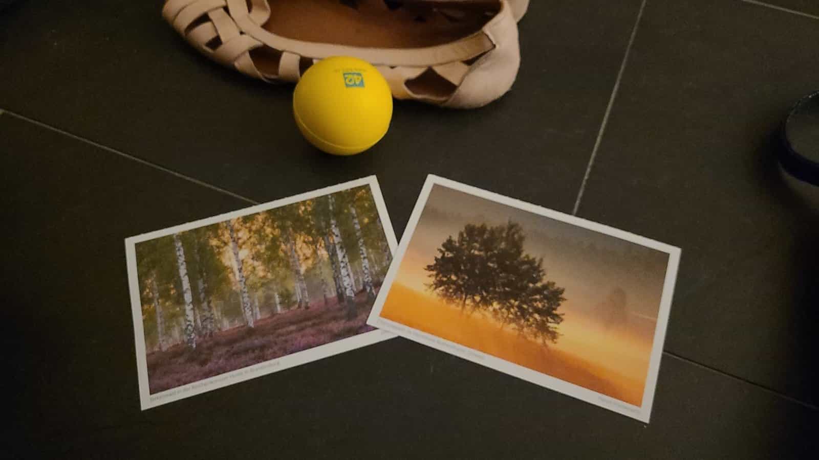 2 Postkarten Bäume + Stressball