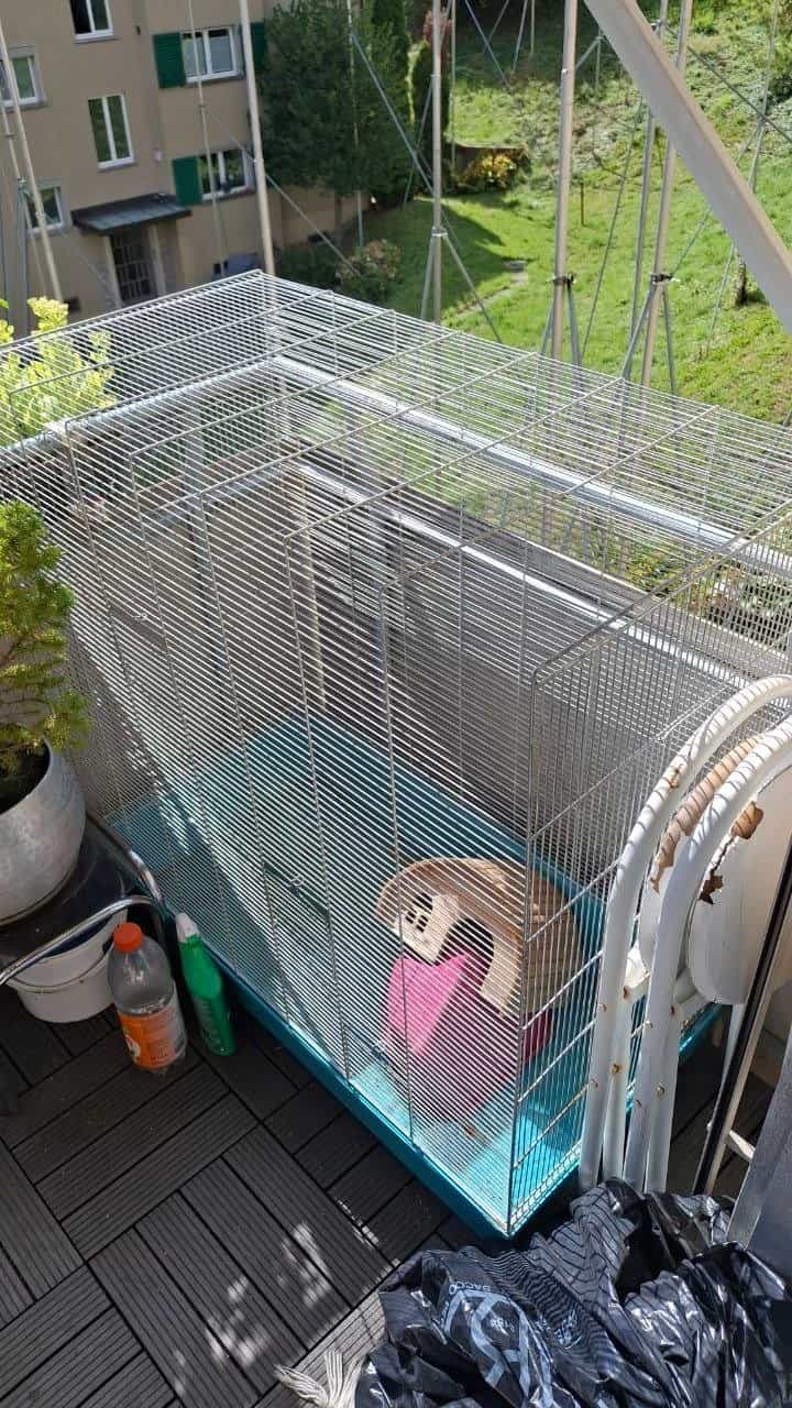 Gitter für Nagetiere