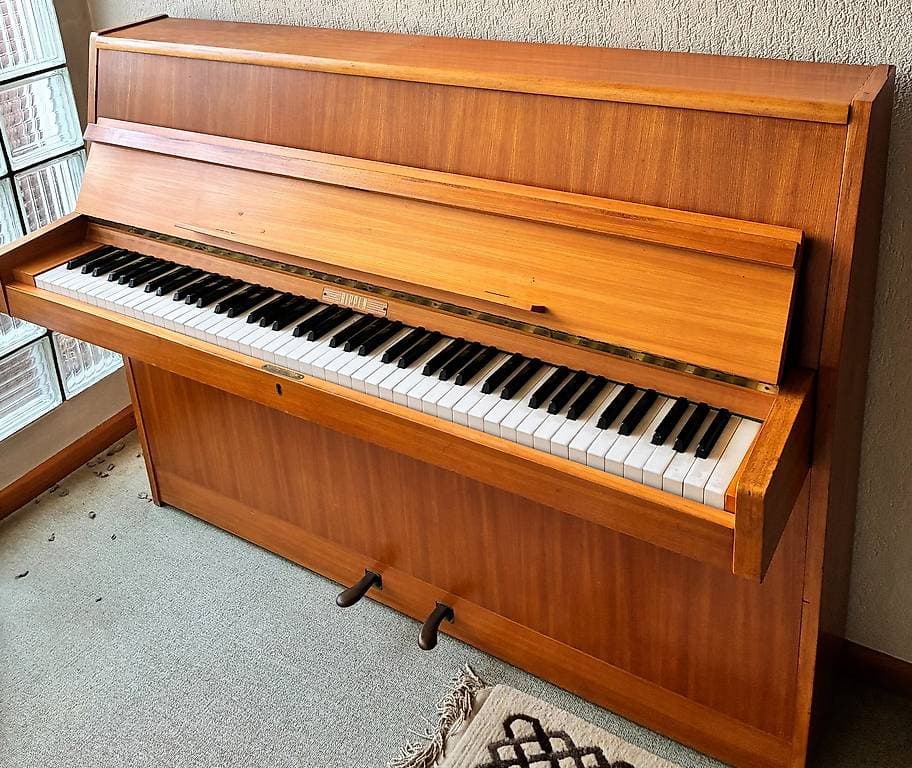 Klavier Rippen Holland