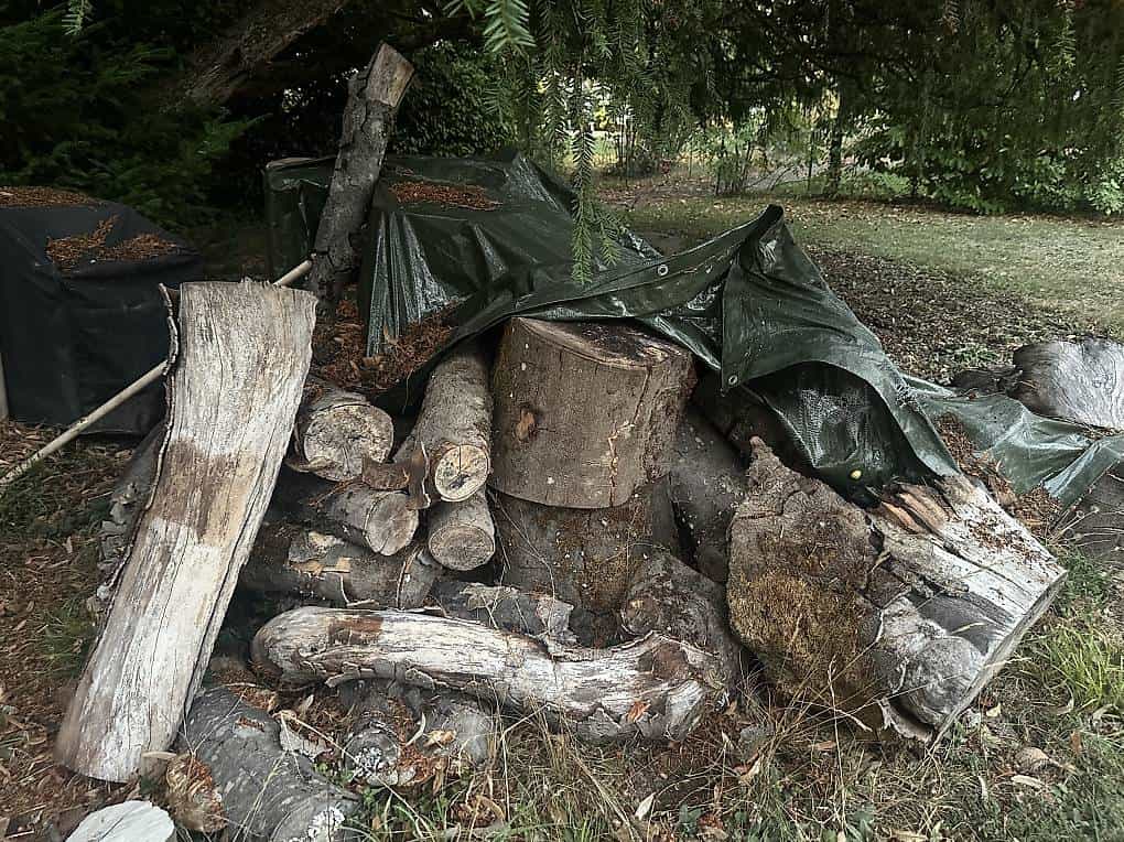 Bois à donner