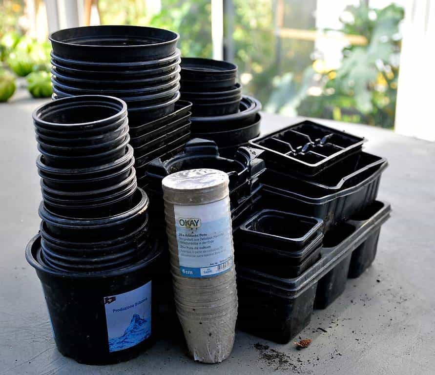 Pots à semis noirs