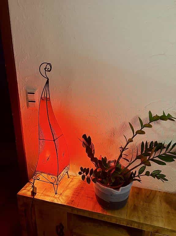 Orientalische Lampe gratis gegen Selbstabholung