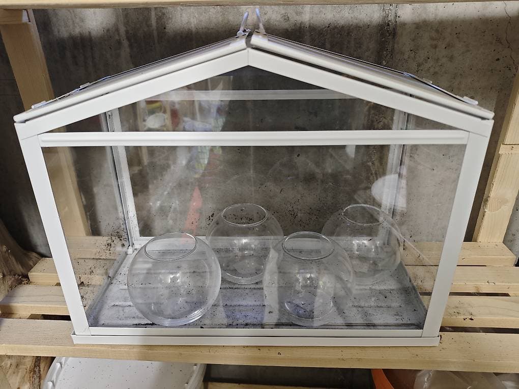 Ikea Gewächshaus + 4x kleine Kugelvase zu verschenken