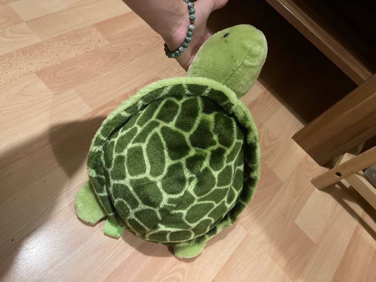 Grüner Schildkröten-Rucksack