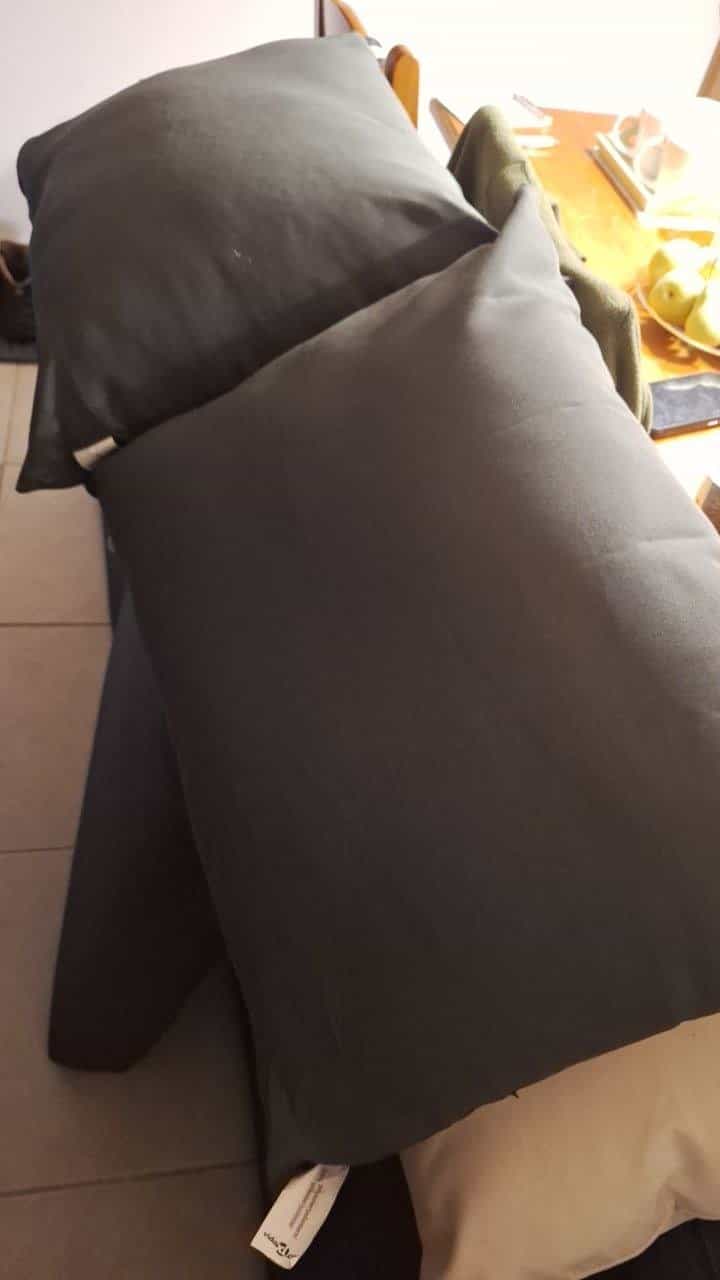 2 Kissen (52×40cm) zu verschenken
