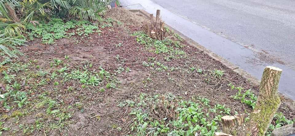 Gratis, Erde, Humus, Dreck, Gartenerde, Blumenerde
