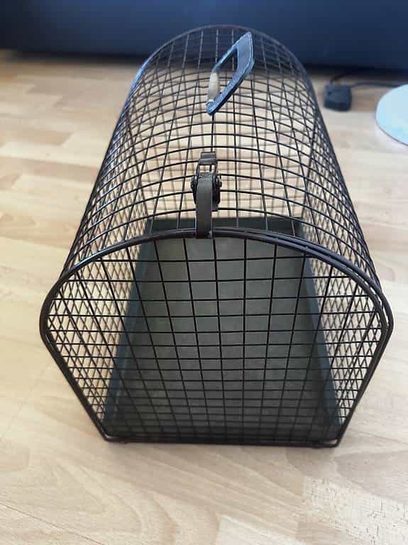 Katzentransport Käfig