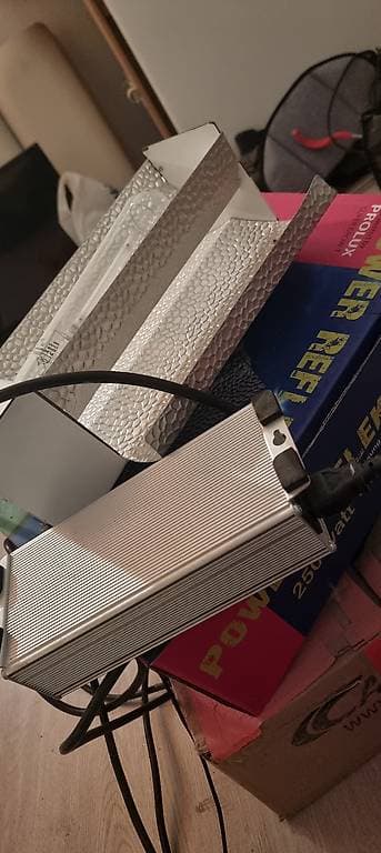 Zwei Pflanzenlampen