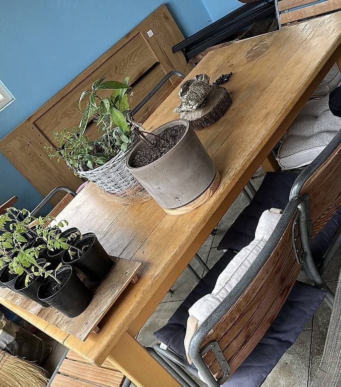 gartentisch / tisch / holztisch