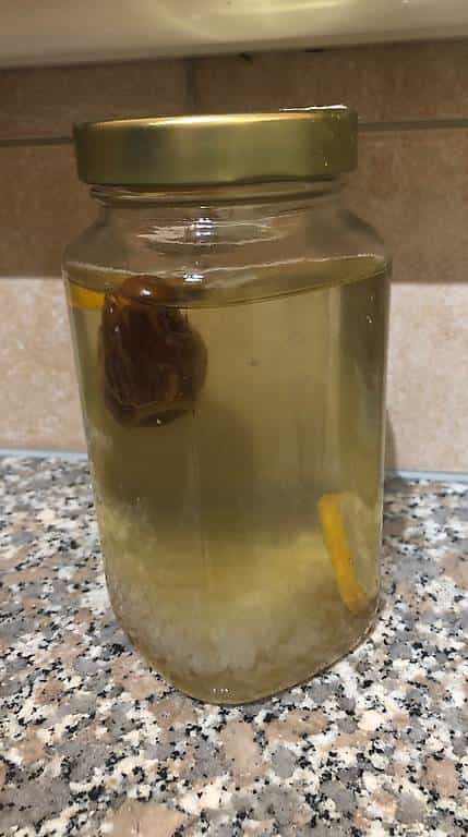 Graines de Kefir d eau à donner