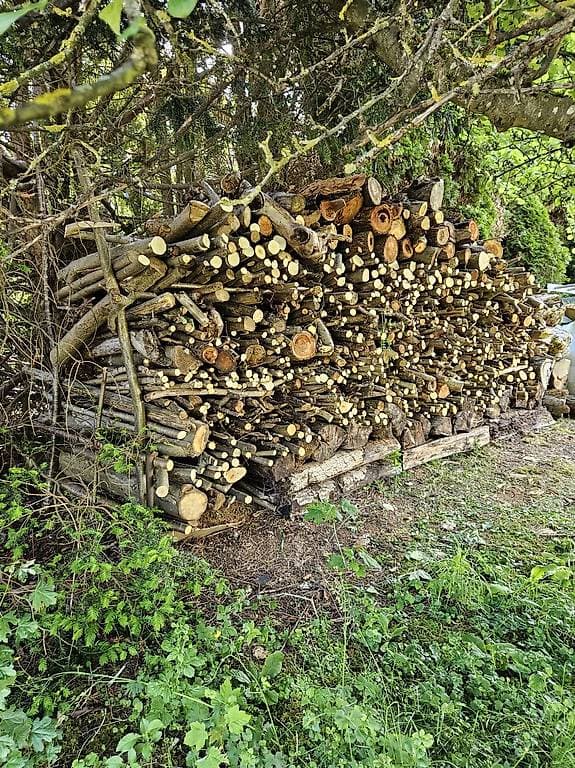 Bois (troncs, branches etc)