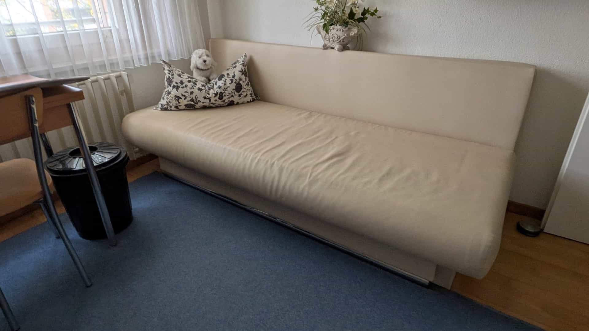 Schlafsofa beige mit Stauraum