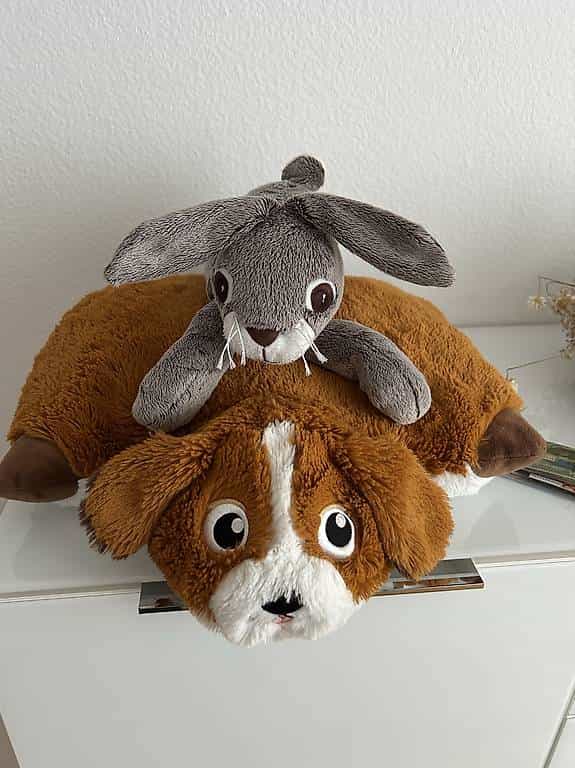 Flughund und Hase