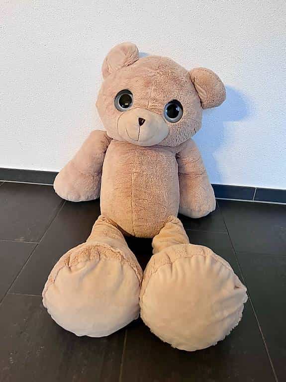 Teddybär