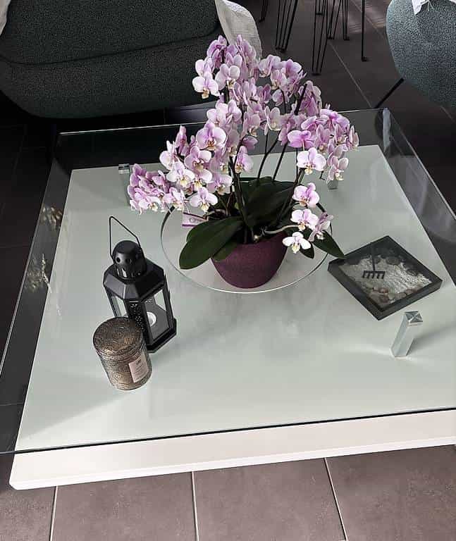 Table de salon ou présentoir