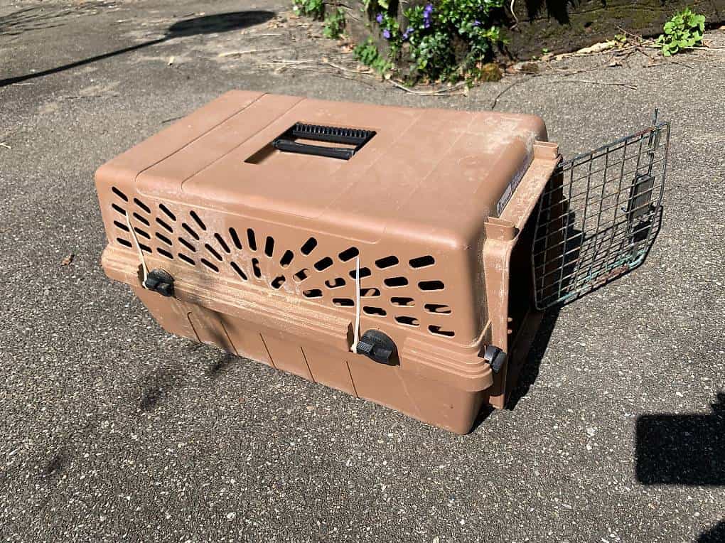 Braune Reisebox für den Transport einer Katze
