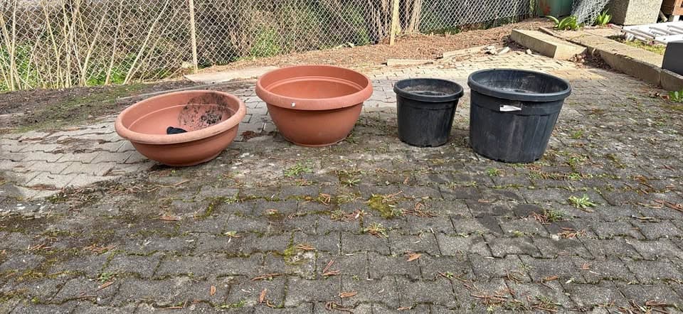 Pflanzentöpfe gratis