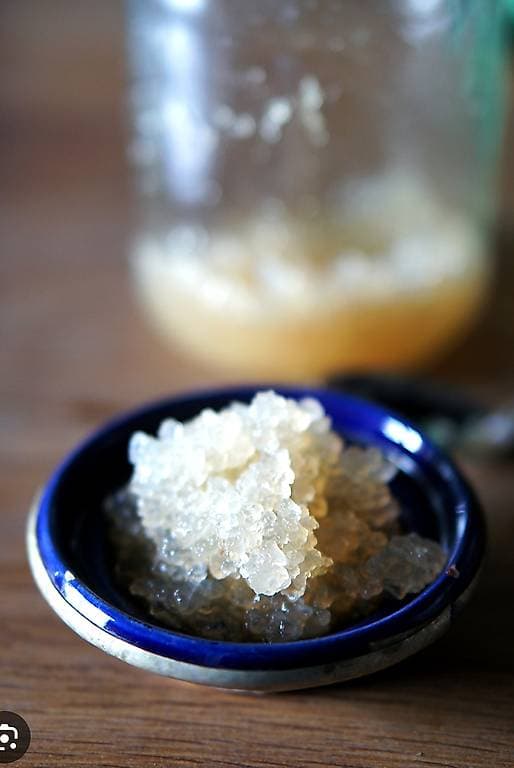 Kefir de fruit