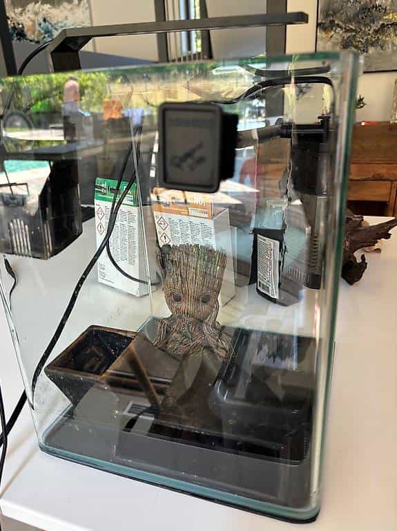 Aquarium complet