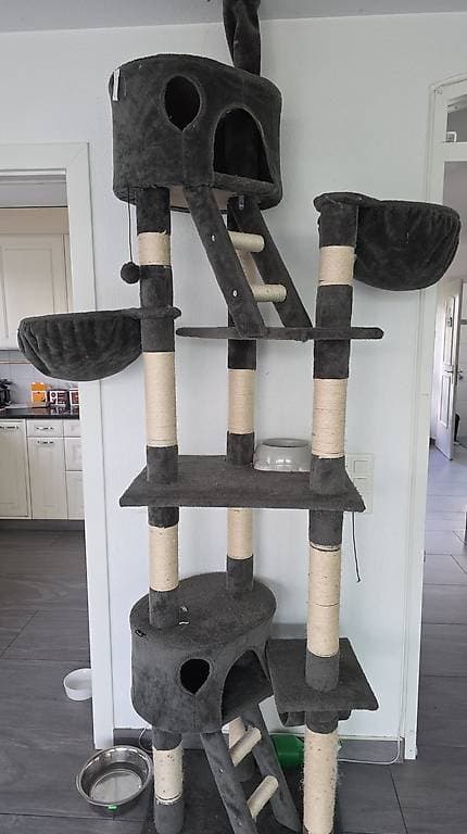 Kratzbaum Katzenbaum