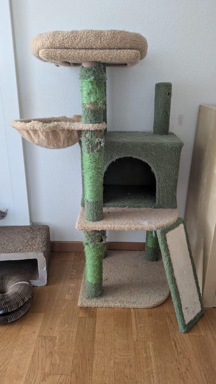 Katzenkratzbaum und Zubehör