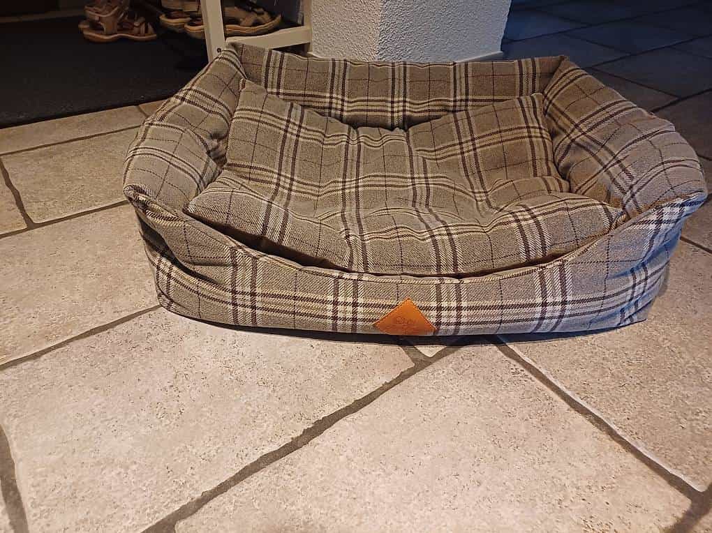 Regalo Cuccia