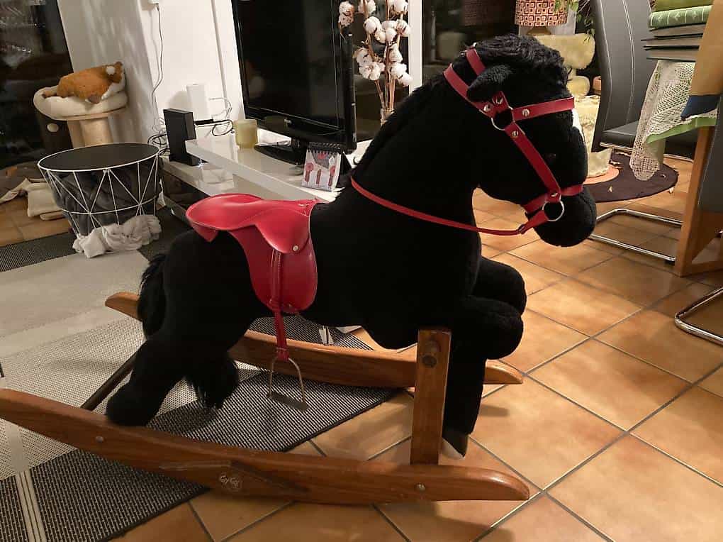 Cheval à bascule