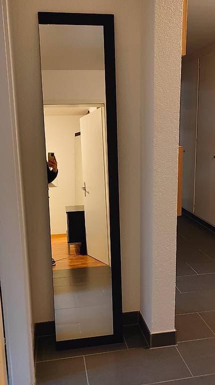 Spiegel ehemals Schranktür zum verschenken.