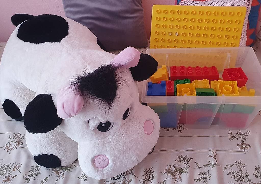 Gratis mucca e costruzioni zona Chiasso