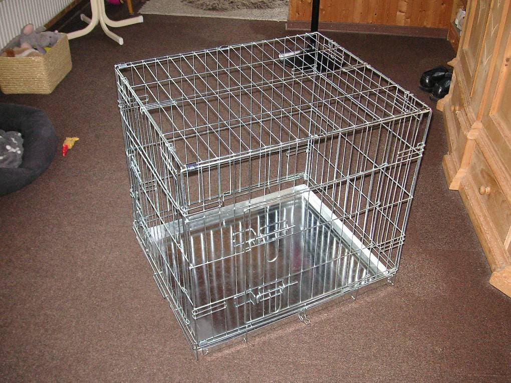 Hundebox und Spieltunnel für Hunde