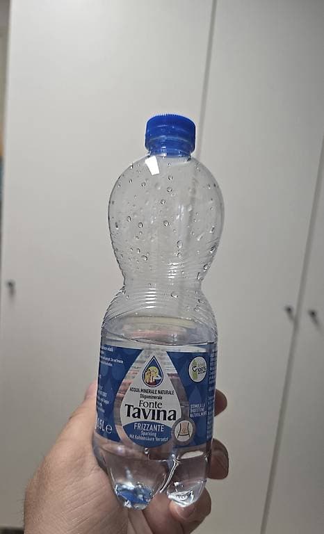 Fonte Tavina Wasserflasche 0.5L PET