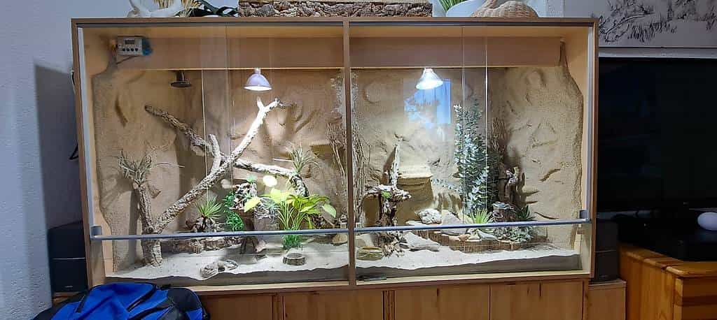 grosses wüstenterrarium zu verschenken