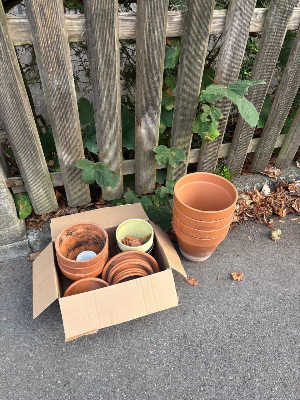 Diverse Tontöpfe verschiedener Grössen