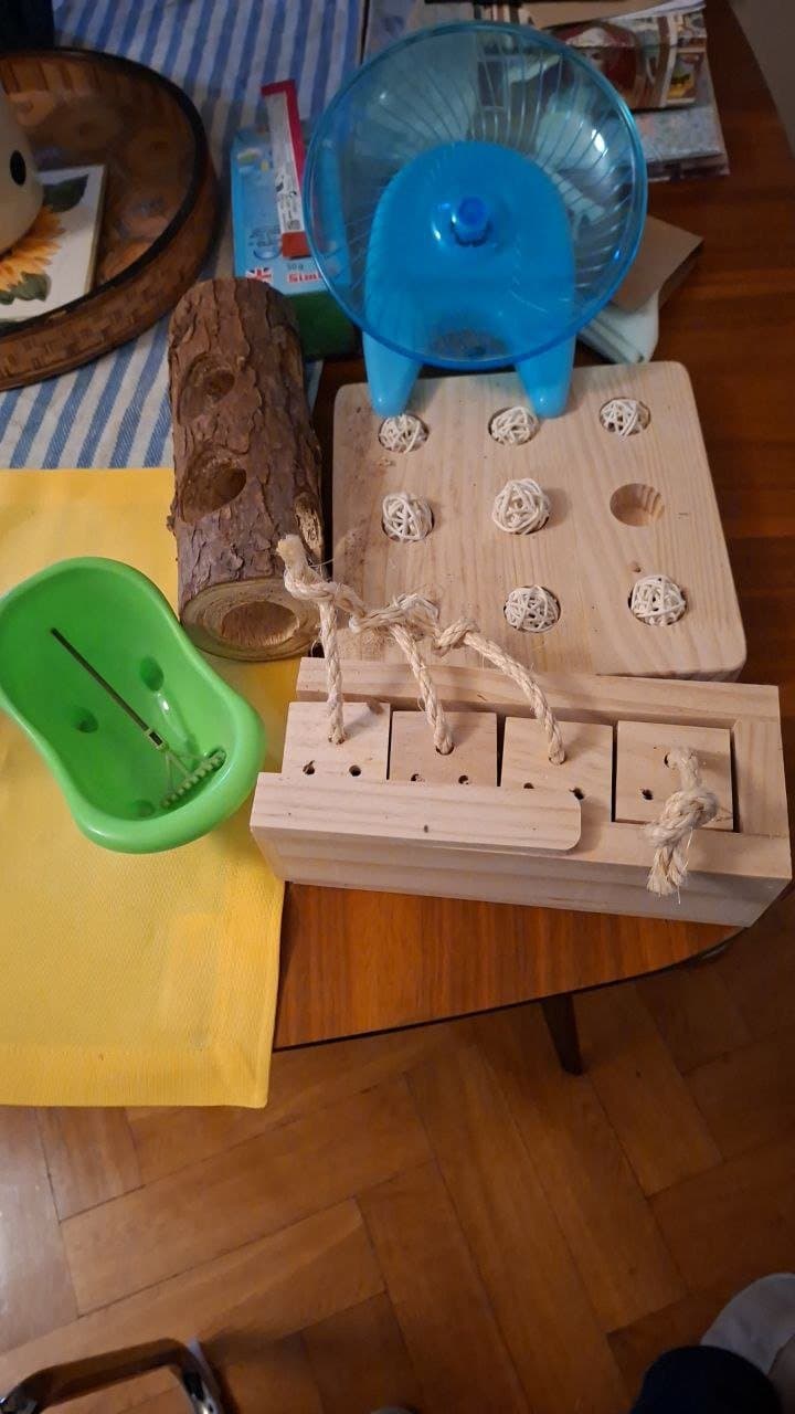 Gratis Hamster/Zwerghamster