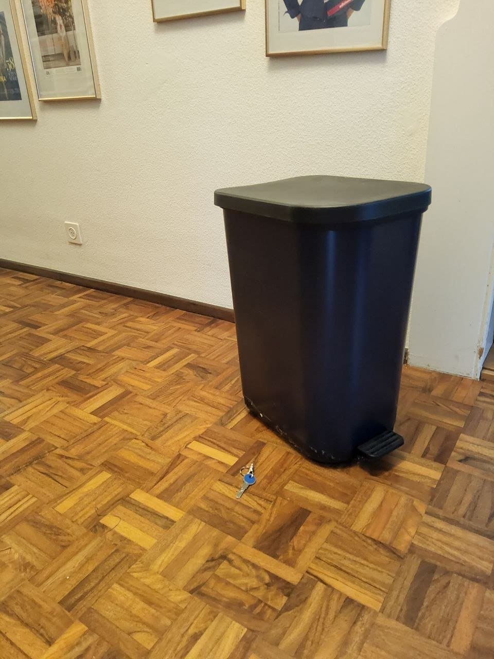 Rotho Mülleimer