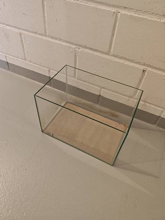 Kleines Aquarium zu verschenken 20x30cm