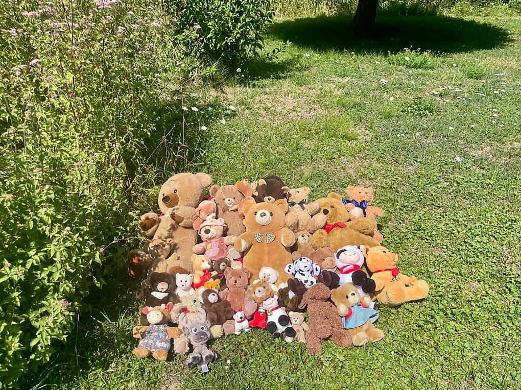 À donner peluches divers tailles